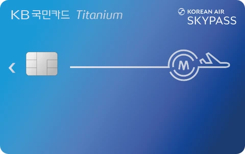 스카이패스 티타늄 카드 카드 이미지